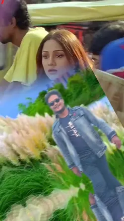 MAYA OFFICIAL 