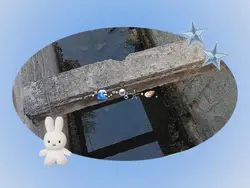 mini vlog