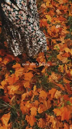 Autumn Vibes