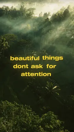 Cinematic View
