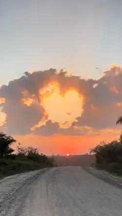sunset vibes
