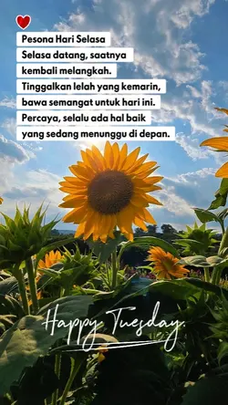 Happy Tuesday story