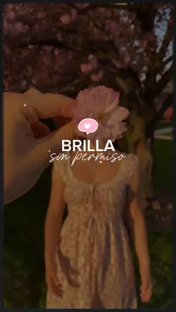 Brilla sin permiso