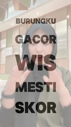 burungku gacor