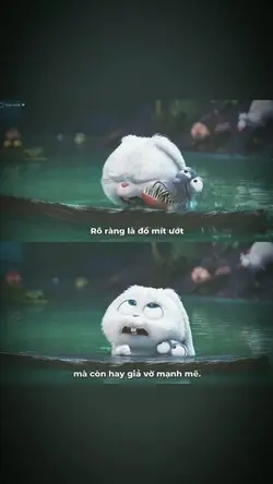 1 ẢNH