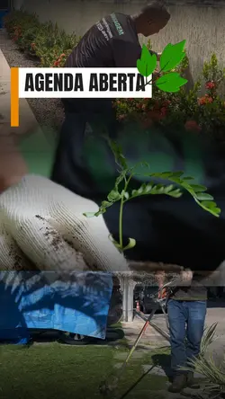 AGENDA ABERTA 