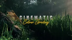 Cinematic Filter