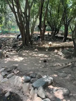 La venta Tabasco