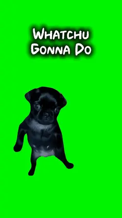 Whatchu Gonna Do