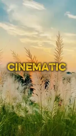 Video Clips 