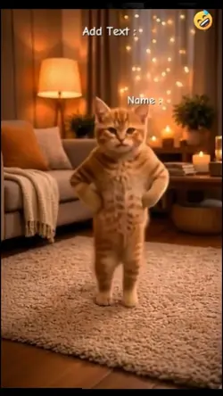 Funny Cat