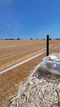 brit farming