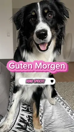 Guten Morgen KI