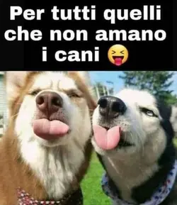 animali fantastici 