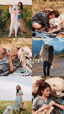 My Lovely Dog