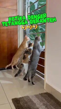 Tetangga berantem