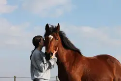Ma vava 