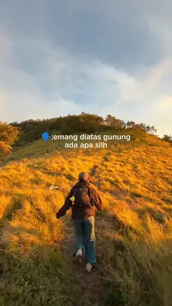 Emang diatas ada apa