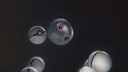 poke ball intro ³¹