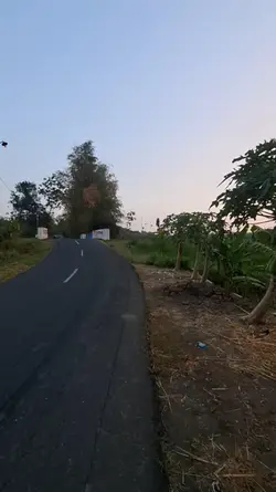 Alam
