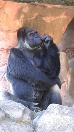 Thinking Deep Meme