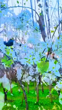 Normal Video into 4k