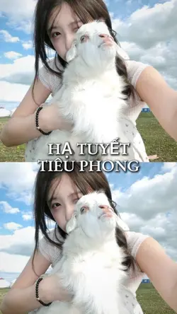 2 ảnh