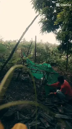 Bulaklak