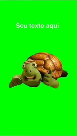 Tartaruga🐢