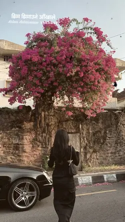 Jhim Jhimaune Aakha