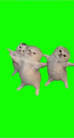 3 cats dance viral