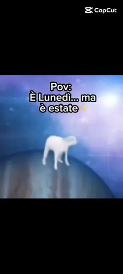 100% real