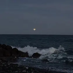 fly me to the moon