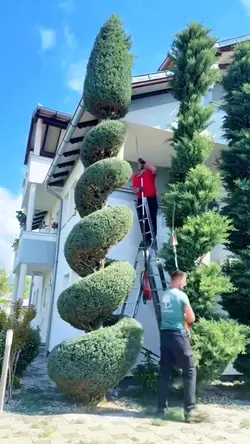 gardening