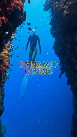 Dynamic Diving