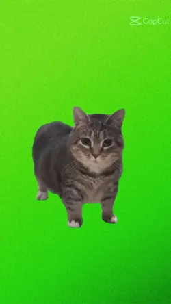 uiaiuiauiuaiuiaiauui