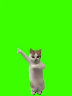 cat dance ver3:4