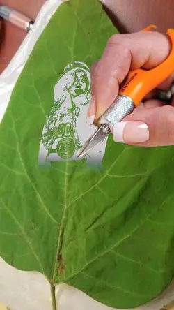 arsiran sketsa daun