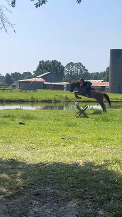 slow mo🦄| FAKE