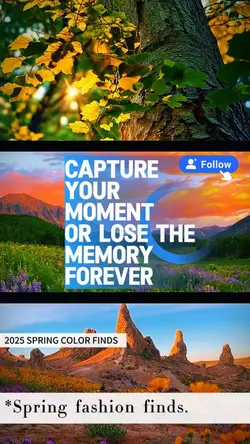 20 clip or photo 
