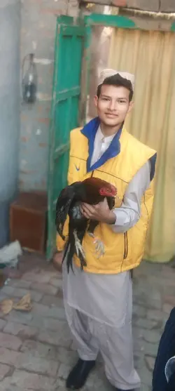 love brother 