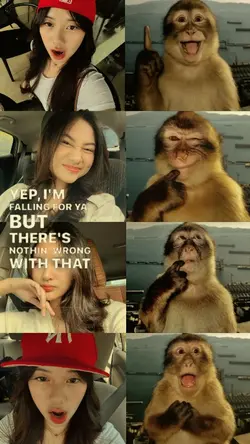 trend monyet