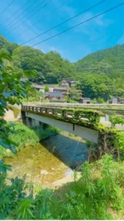 夏の記憶