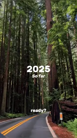 2025 So Far 