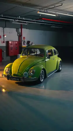CLASSIC CARS