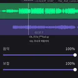 stay 보컬리무버