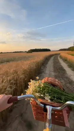 vlog