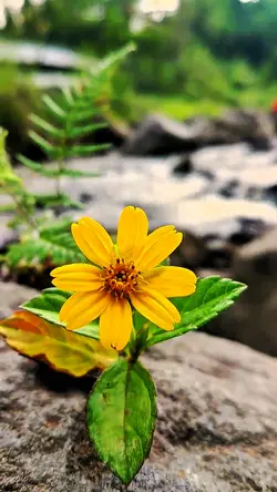 Filter 4K HD