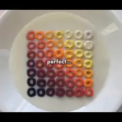 Perfect 
