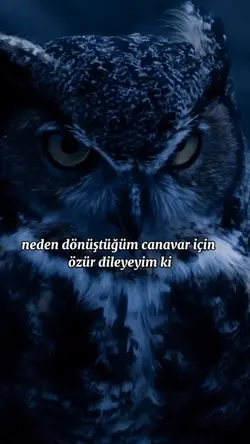 hayvanlar alemi 